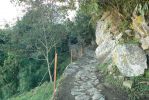 PICTURES/Machu Picchu - Inca Bridge/t_P1250471.JPG